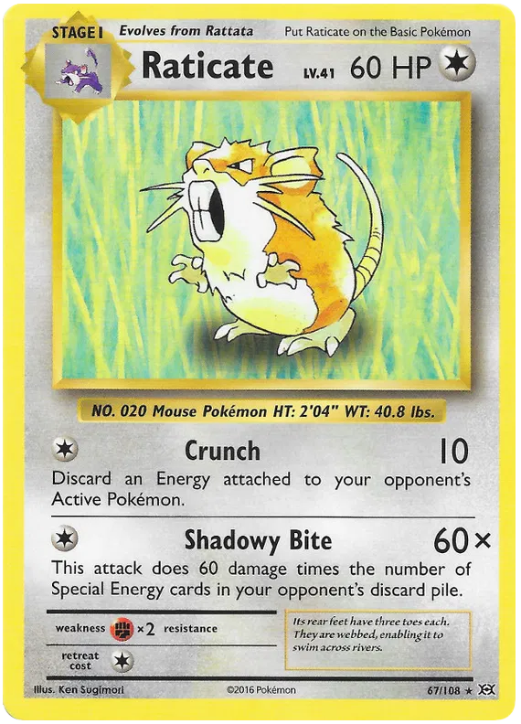 Raticate Rare 67/108