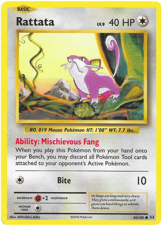Rattata Common 66/108