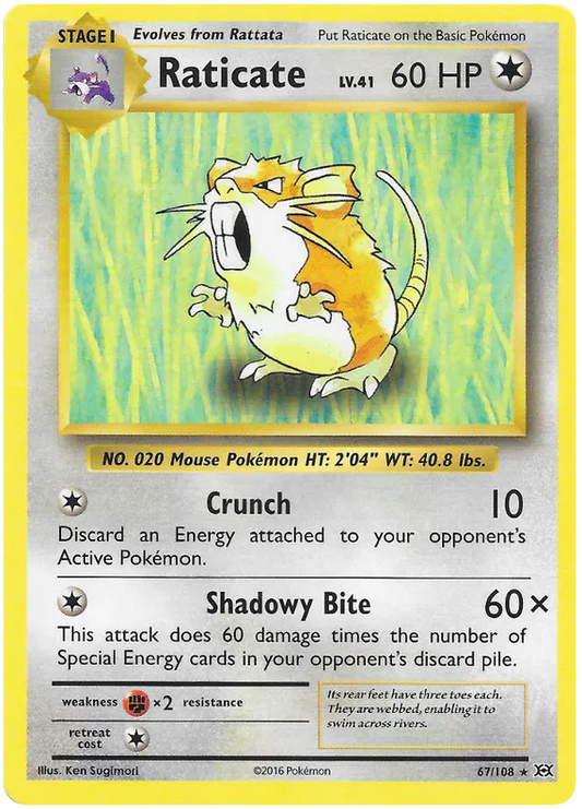 Raticate Rare 67/108